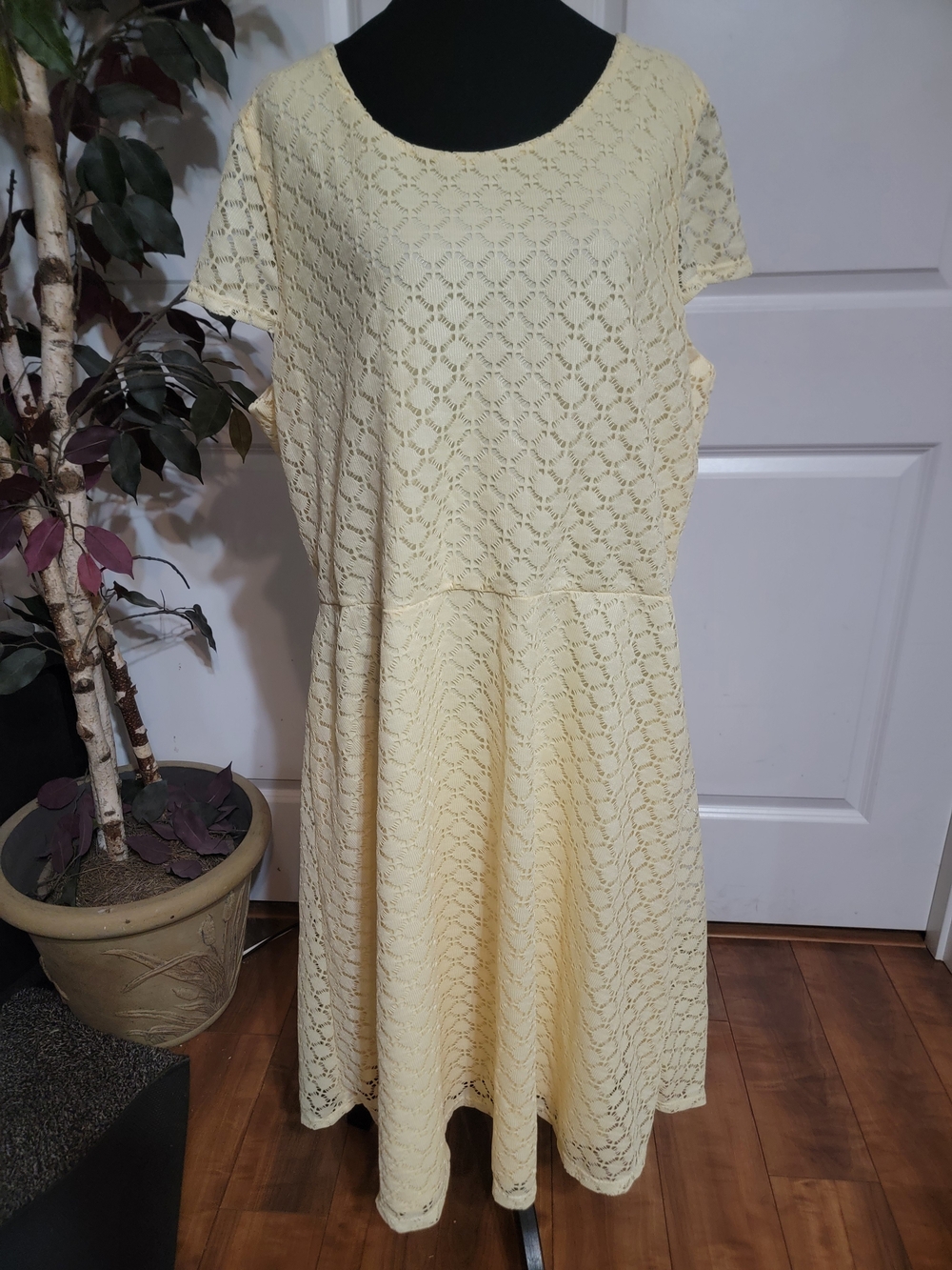 Short Sleeve Lace Fit-and-Flare Dress in Light Yellow